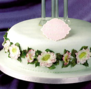 Planá šípková růže - patchwork na marcipán